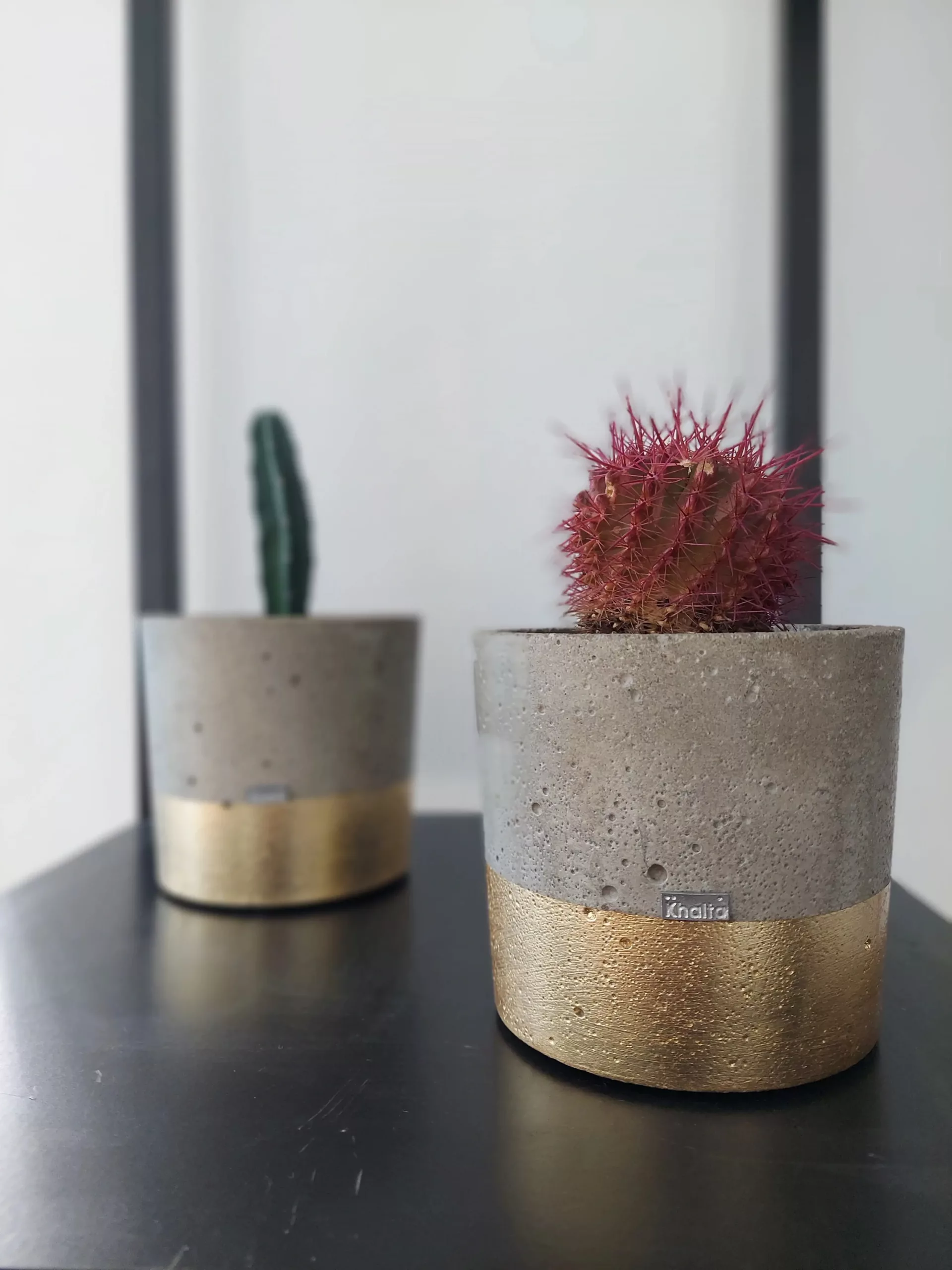 Panier en béton pour plantes